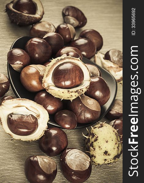 Chestnuts brown colorized picture, vintage