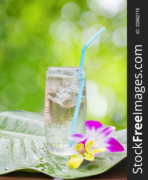 Glass of water on nature background.