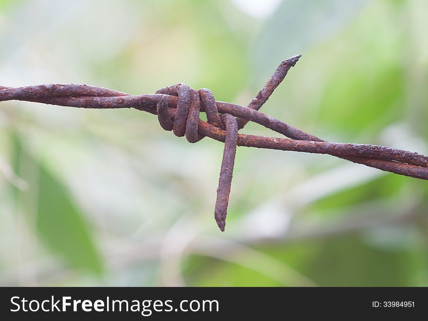 Old rusty barb wire with green blur background