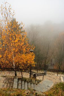 Foggy Autumn Park With Yellowed Tree And Steps Stock Photography Foggy Autumn Park With Yellowed Tree And Steps Stock Photography