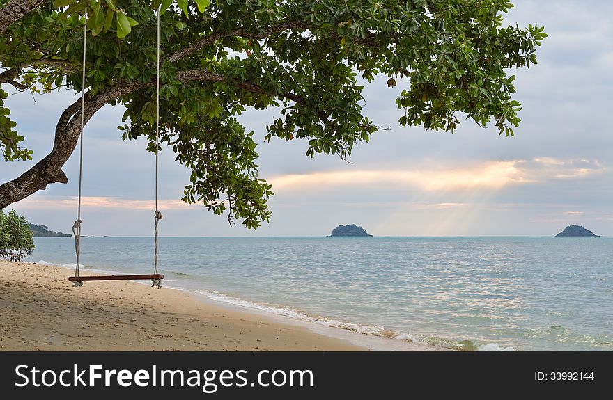 Rope swing on a mangrove tree on a beach at sunset sky background, the rays of the sun from behind the clouds. Rope swing on a mangrove tree on a beach at sunset sky background, the rays of the sun from behind the clouds