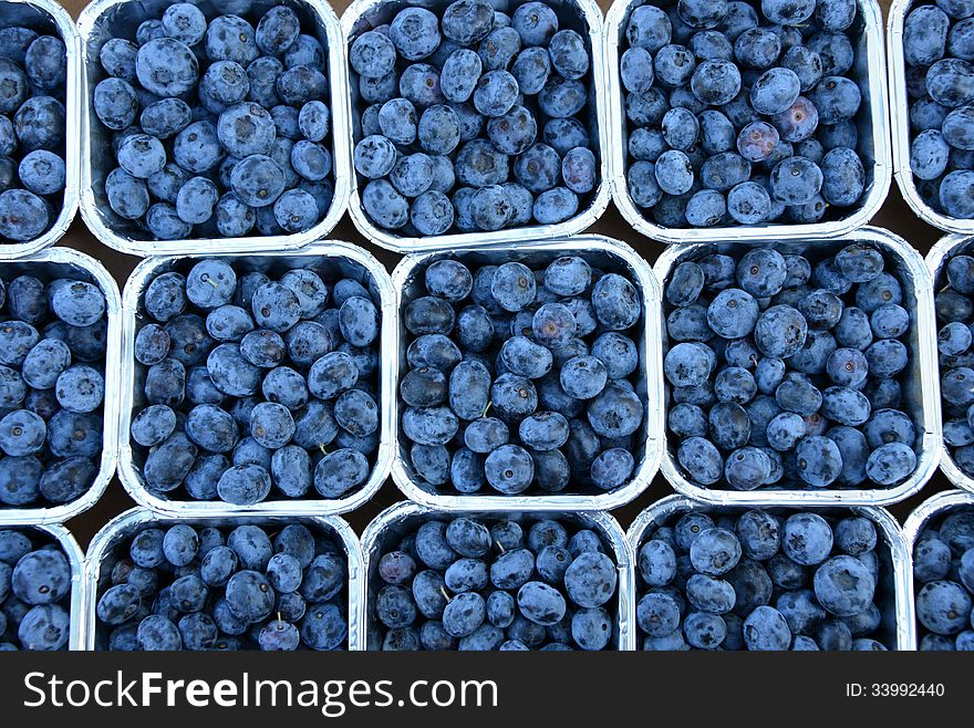 Blue berries at the market in Antwerp.