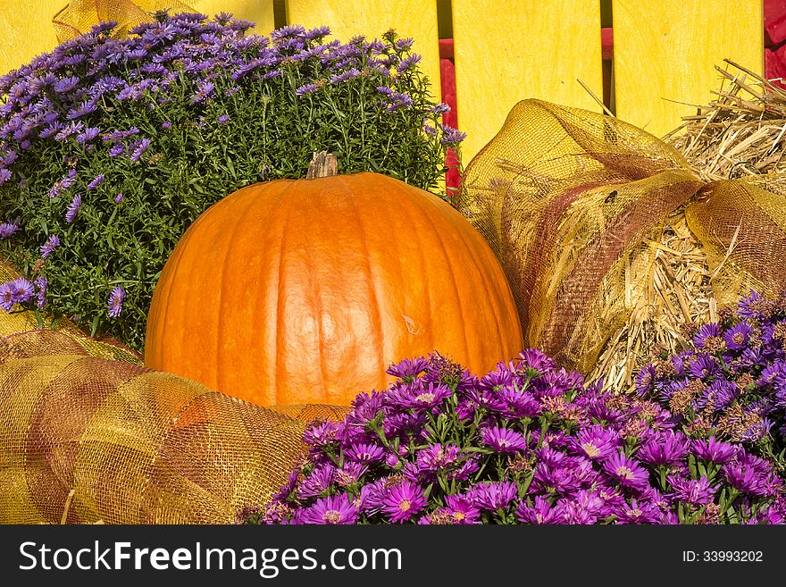 Pumpkin And Flowers