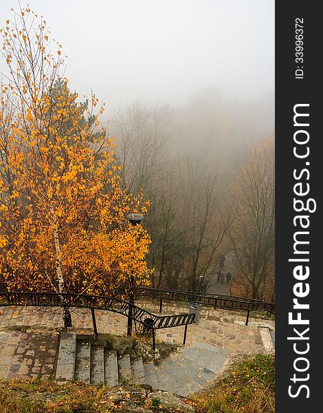 Foggy autumn park with yellowed tree and steps