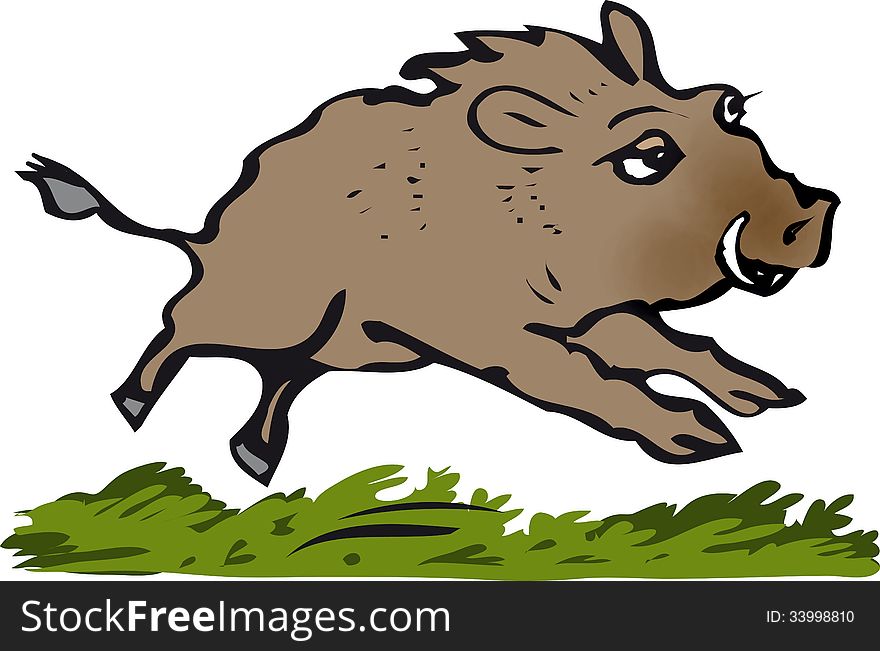 Wild boar running in undergrowth