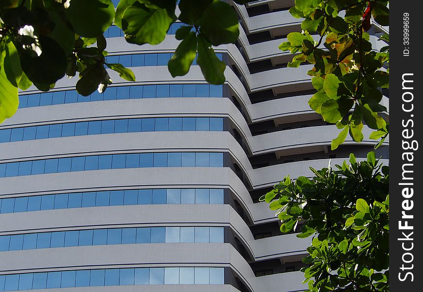 Modern office building in Brazil in closed from long focal lens perspective, with leaves in frame.