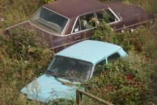 Overgrown Cars Royalty Free Stock Photos Overgrown Cars Royalty Free Stock Photos
