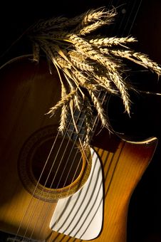Wheat And Guitar Royalty Free Stock Photo Wheat And Guitar Royalty Free Stock Photo