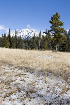 Mountain Meadow Stock Images Mountain Meadow Stock Images