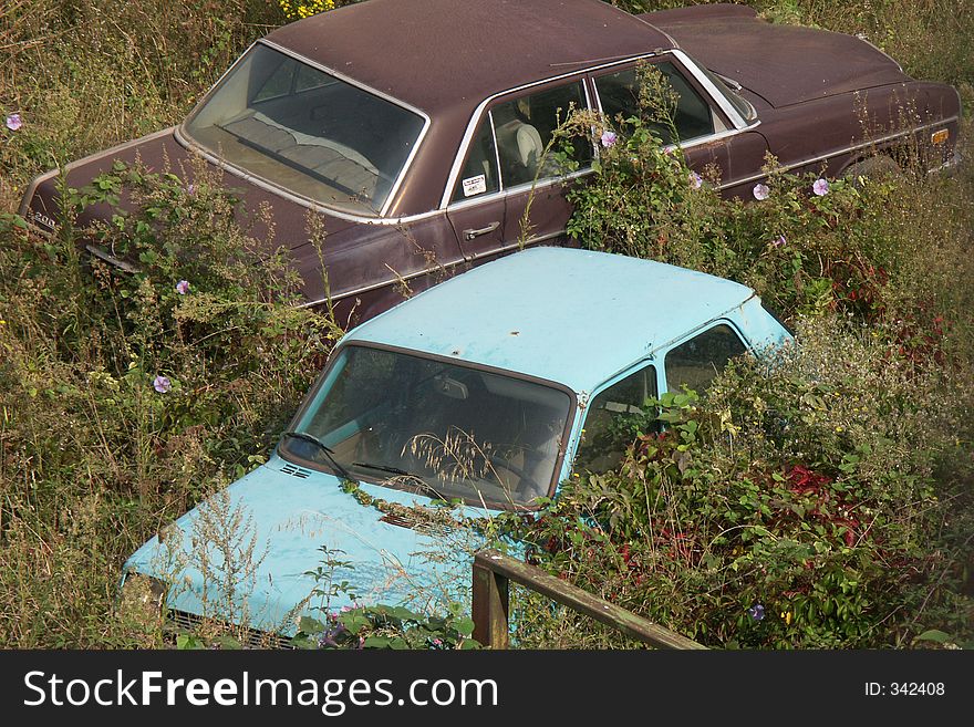 Old cars overgrown by plants. Old cars overgrown by plants