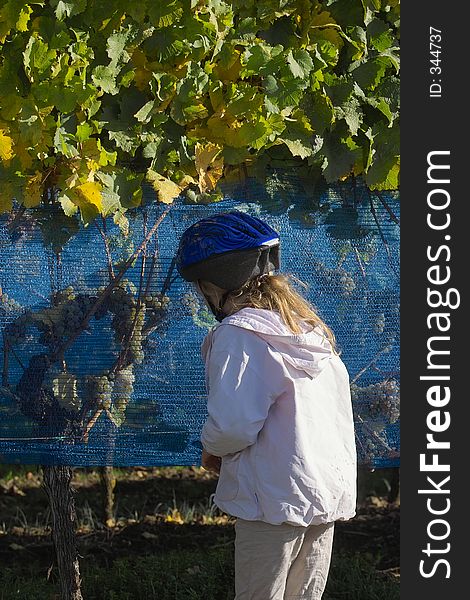 Girl tasting the ice grapes. Girl tasting the ice grapes