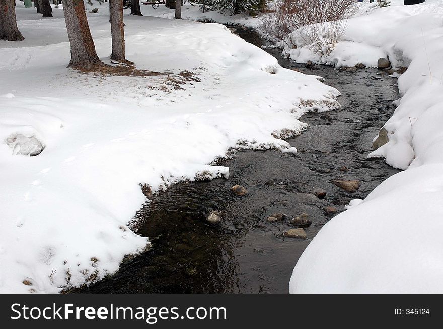 Snowy Brook