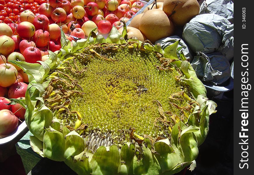 Sunflower And Fruit