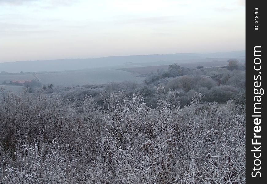 Frozen field in november