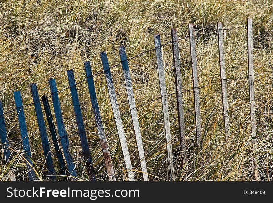Storm Fence in Marsh Grass