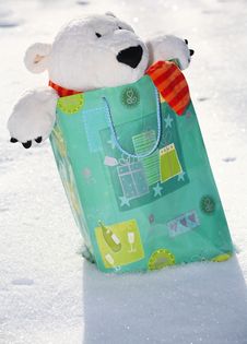 Teddy Bear In The Bag Royalty Free Stock Images