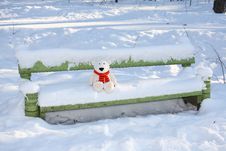 Teddy Bear On The Bench Stock Images Teddy Bear On The Bench Stock Images