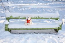 Teddy Bear On The Bench Stock Photography Teddy Bear On The Bench Stock Photography