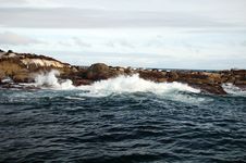 Seal Island And Wave Splash Royalty Free Stock Photography Seal Island And Wave Splash Royalty Free Stock Photography