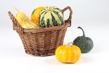 Mini Pumkins Stock Photos Mini Pumkins Stock Photos
