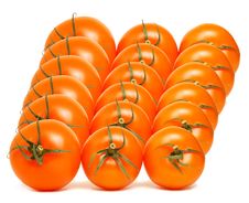Red Tomato Array Royalty Free Stock Images Red Tomato Array Royalty Free Stock Images