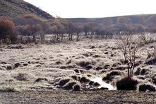 Free Wetland Royalty Free Stock Photo - 3408835