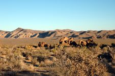 Mojave Landscape Stock Photos Mojave Landscape Stock Photos