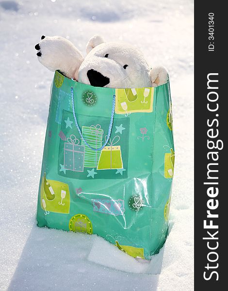 Lovely polar teddy bear in the gift paper-bag. Lovely polar teddy bear in the gift paper-bag