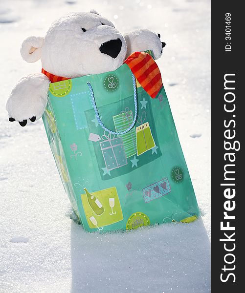 Teddy bear in the bag