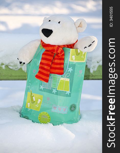 Lovely polar teddy bear in the gift paper-bag. Lovely polar teddy bear in the gift paper-bag