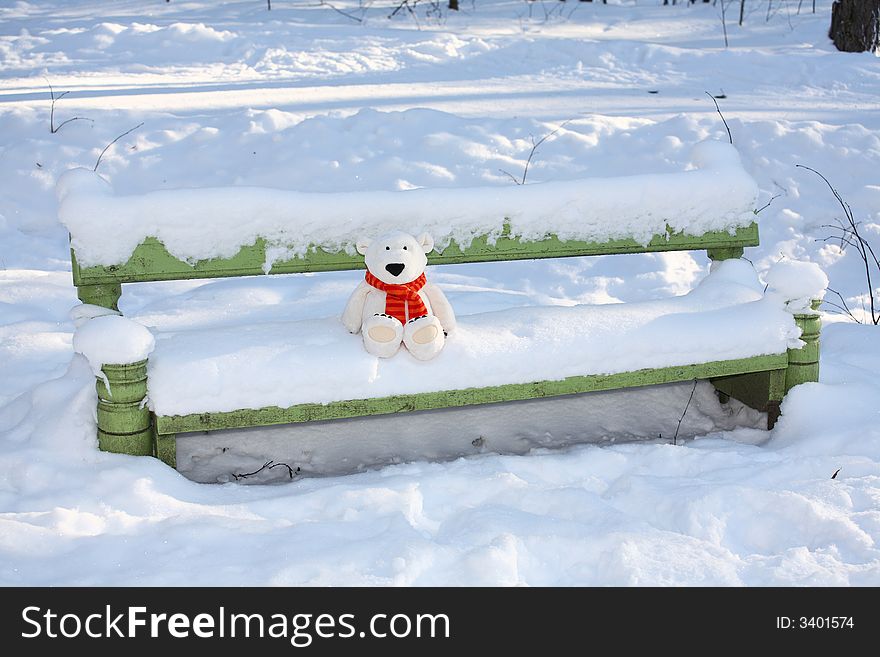 Lonely polar teddy bear on the bench