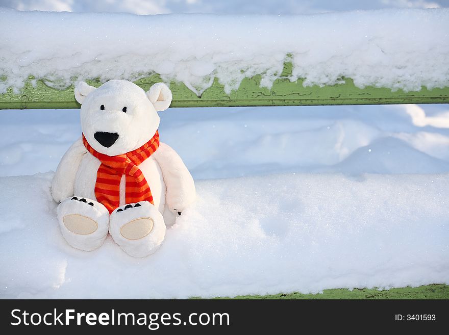 Lonely polar teddy bear on the bench