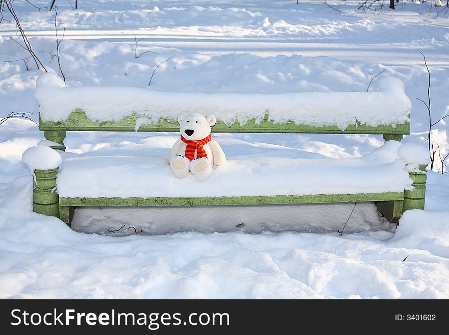 Lonely polar teddy bear on the bench