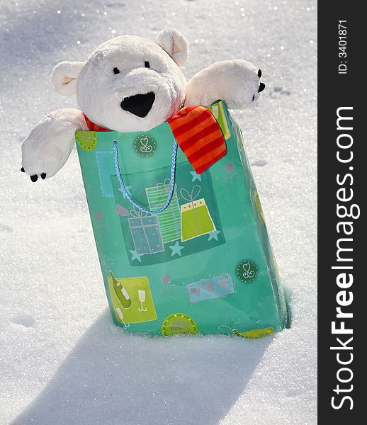 Lovely polar teddy bear in the gift paper-bag. Lovely polar teddy bear in the gift paper-bag