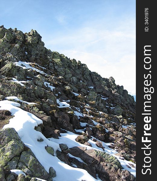 Hillside in the mountains in nature with rocks grass and other plants. Hillside in the mountains in nature with rocks grass and other plants