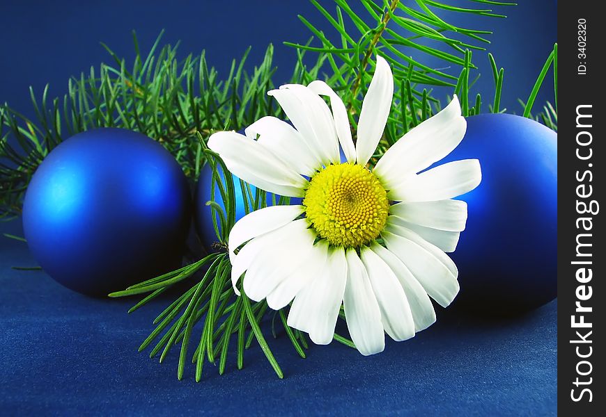 Image from christmas series: blue glass balls pine branches and flower. Image from christmas series: blue glass balls pine branches and flower