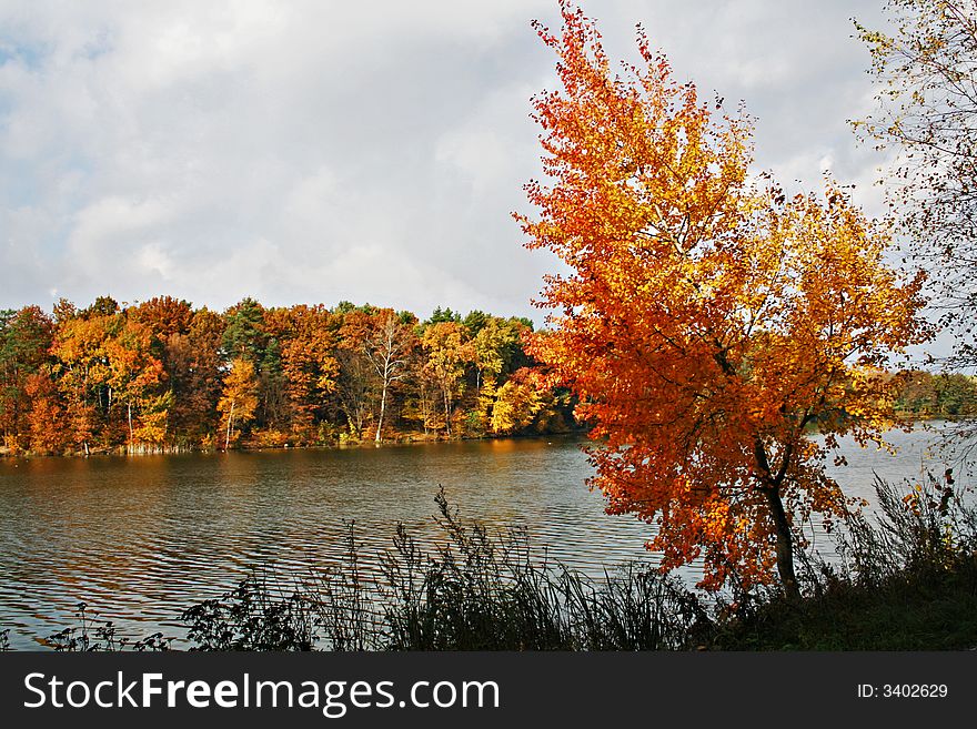 An autumn by a lake