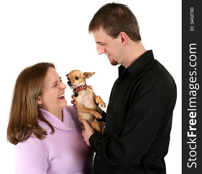 A young couple holding a tiny chihuahua