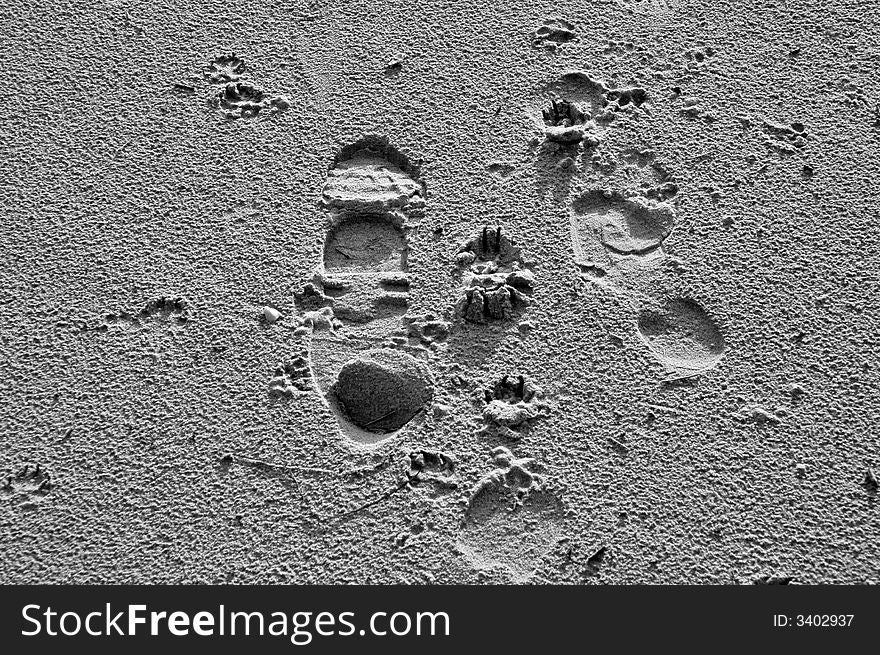 Foot print on the sand in black and white. Foot print on the sand in black and white