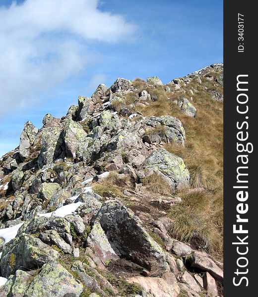 Hillside in the mountains in nature with rocks grass and other plants. Hillside in the mountains in nature with rocks grass and other plants