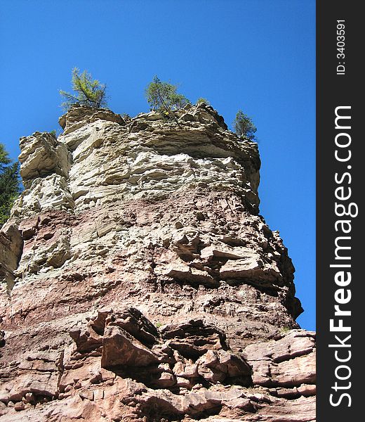 Hillside in the mountains in nature with rocks grass and other plants. Hillside in the mountains in nature with rocks grass and other plants