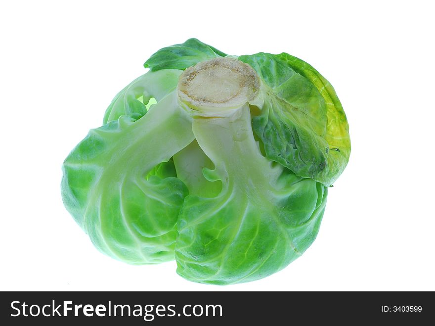 Close up of green cabbage on white background