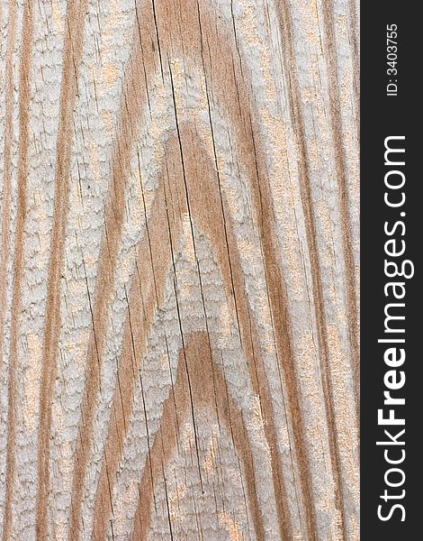 Close up of an interesting wood texture