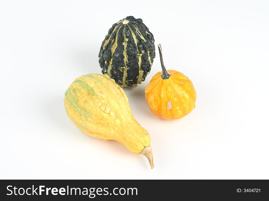 Mini pumpkins on the white background