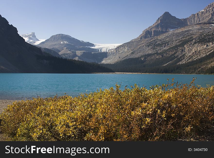 Bow Lake in Autumn