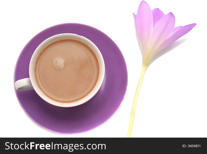 The lilac flower and cup from coffee are isolated on a white background