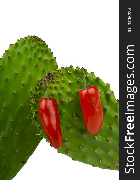 Red chili peppers on green cactus. Red chili peppers on green cactus