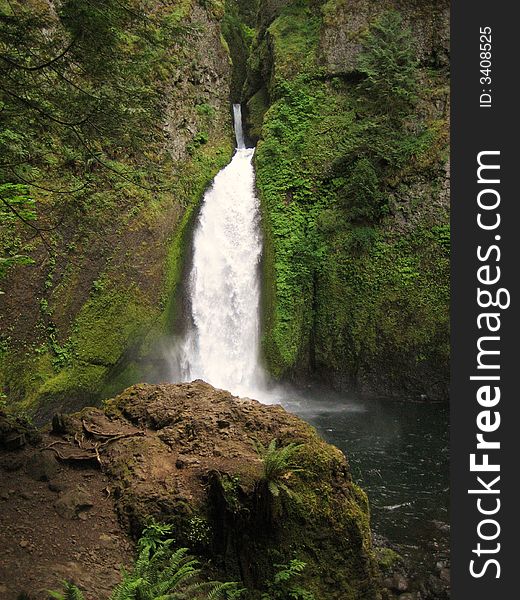 Wahclella Falls is one of the many Waterfalls in Columbia River Gorge.