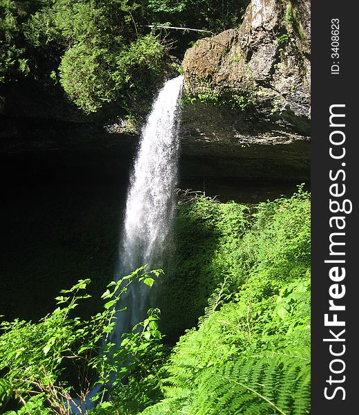 North Falls is one of the many Waterfalls in Silver Falls State Park.