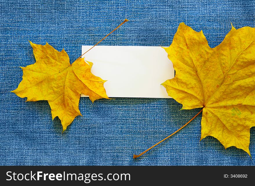 Blank calling card and maple leaves over jean background